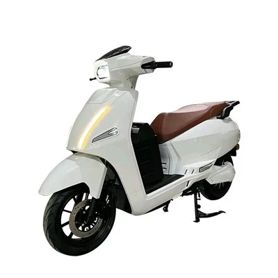 Xe máy điện 1500W