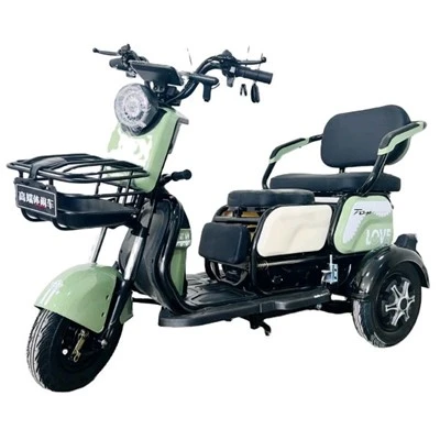 Xe Đạp 3 Bánh Cho Người Lớn Điện