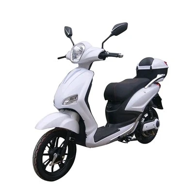 Xe máy điện 800W 48V