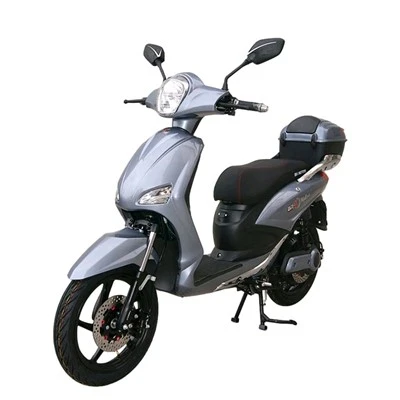 Xe máy điện 800W